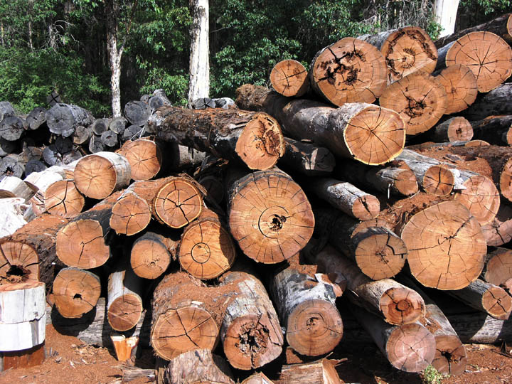 legname e biomassa agroforestale